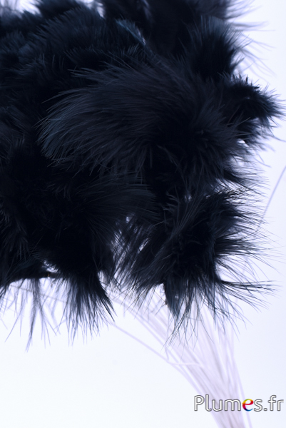 Panicule 3 plumes - hauteur 36 cm - noir